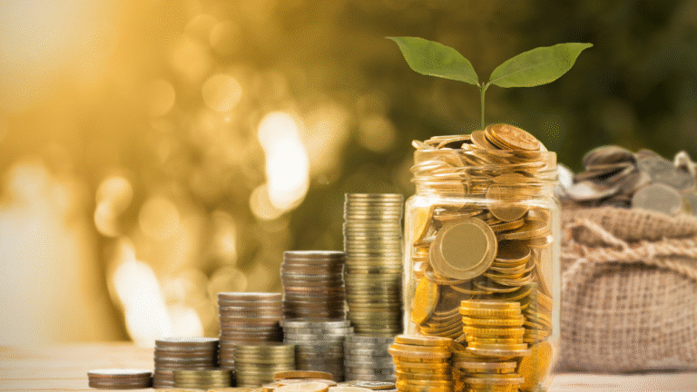 "flujo de caja en empresas agropecuarias"